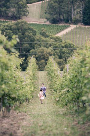 Greenhill Wines - e-Seniors 0