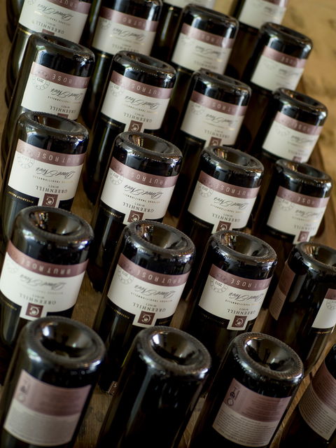 Greenhill Wines - e-Seniors 5
