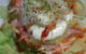 Cafe Delizioso - thumb 8
