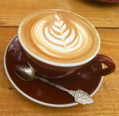 DeGroot Coffee Co - e-Seniors 0