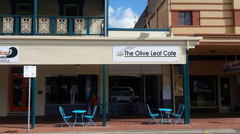 Olive Leaf - e-Seniors 0