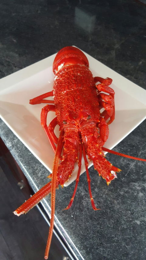Robe Seafood & Takeaway - e-Seniors 1
