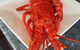 Robe Seafood & Takeaway - thumb 6