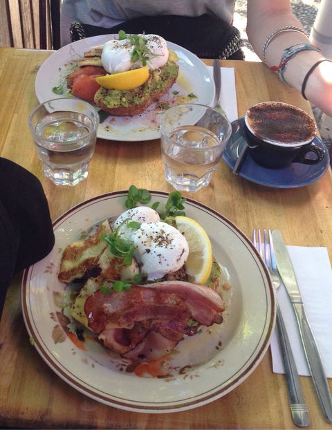 Alcove Cafe - e-Seniors 1