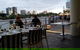 Jellyfish Restaurant - thumb 3