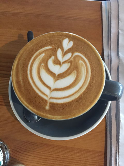 Kin + Co Cafe - e-Seniors 4