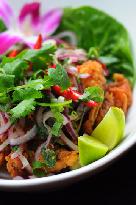Modern Thai - e-Seniors 6