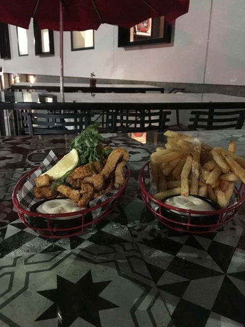 Paddock Bar - e-Seniors 4