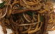 Pine & Bamboo Peking Restaurant - thumb 6