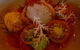 Restaurant Dan Arnold - thumb 1