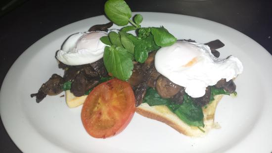 Clayton Bay SA e-Seniors