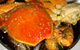 St James Crabhouse And Kitchen - thumb 4