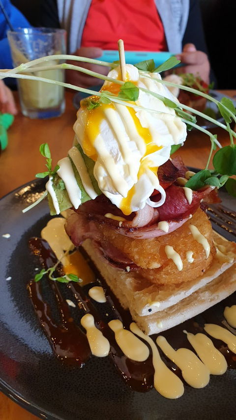 Cafe Gold Coast - e-Seniors 6