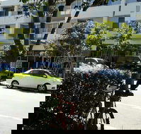 The Fish - e-Seniors