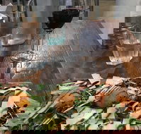 Ciao Bella - e-Seniors