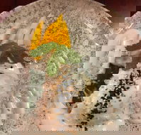 Namory Eatery - e-Seniors