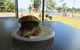 Dunk Island View Cafe - thumb 0