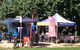 Tuskers Tuckerbox And Catering - thumb 3