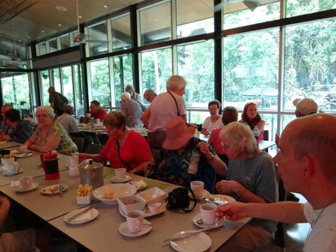Mayi Cafe - e-Seniors 0