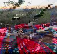 Bunnyconnellen Olive Grove  Vineyard - e-Seniors