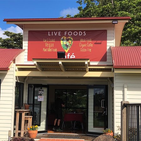 Live Foods Cafe & Restaurant - e-Seniors 0