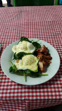 The Shed Cafe - e-Seniors 0