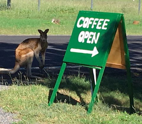 Chillagoe Gallery 29 - e-Seniors 0