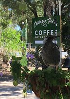 Chillagoe Gallery 29 - e-Seniors 1