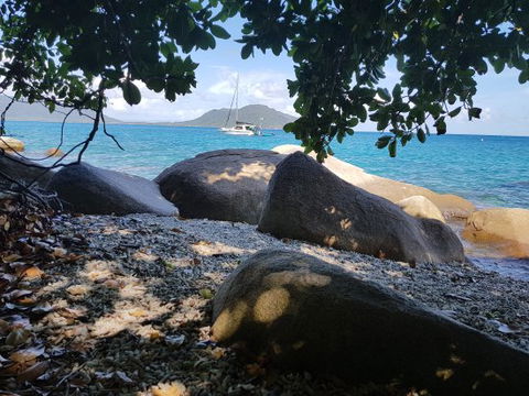Fitzroy Island Resort - e-Seniors 0