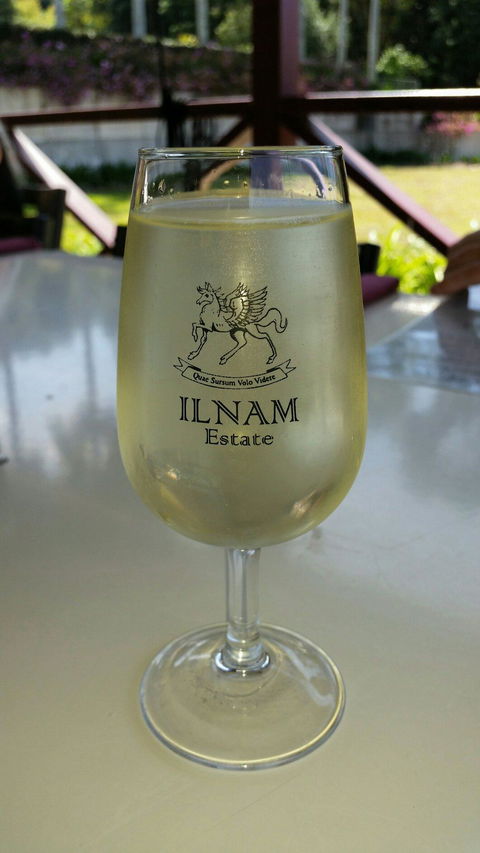 Ilnam Winery - e-Seniors 4