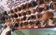 Wellshot Hotel - thumb 0