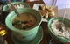 Peds Thai Cuisine - thumb 0