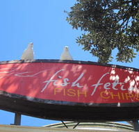 Fish Fetish - e-Seniors