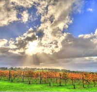 Max's at Red Hill Estate - e-Seniors