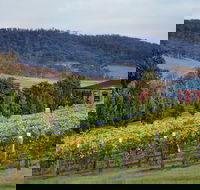 De Bortoli Winery  Restaurant - e-Seniors