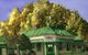 Greendale Country Pub - thumb 0
