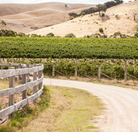 McIvor Estate Cellar Door - e-Seniors