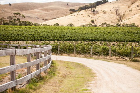 McIvor Estate Cellar Door - e-Seniors 0