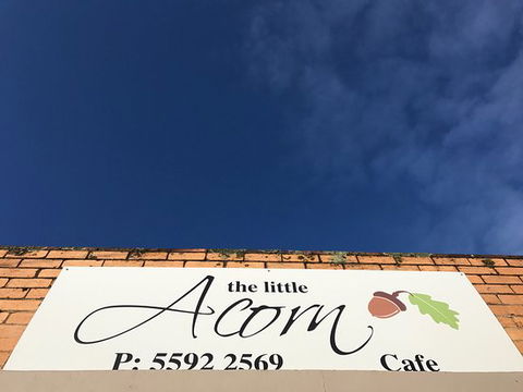 The Little Acorn - e-Seniors 0