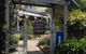 Victoria Rose Tea Rooms - thumb 0