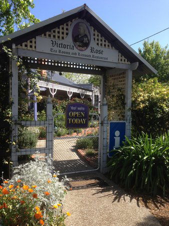 Victoria Rose Tea Rooms - e-Seniors 0