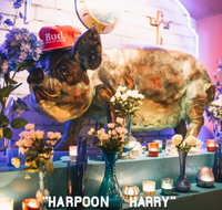 Hotel Harry - e-Seniors