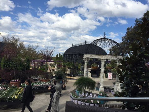 Cafe Harvest @ BGC - e-Seniors 0