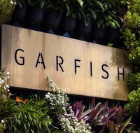 Garfish - e-Seniors