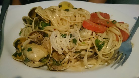 Collaroy Beach NSW e-Seniors