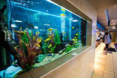 Swansea Workers Club - e-Seniors 0