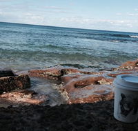 Little Paw Espresso - e-Seniors