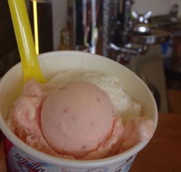 Bermagui Gelati Clinic - e-Seniors