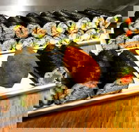 Freewave Sushi  Burgers - e-Seniors