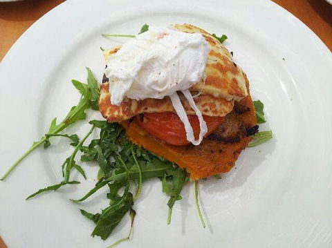 The Dolphin Cafe - e-Seniors 0